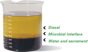 contamination.jpg